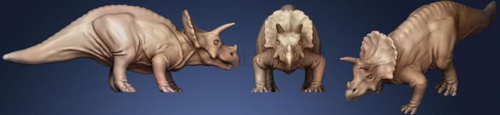 Triceratops (3)